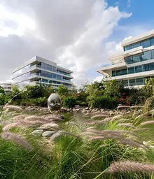 Ashjar：巴拉瑞低层住宅中的三居室 — 图片 4