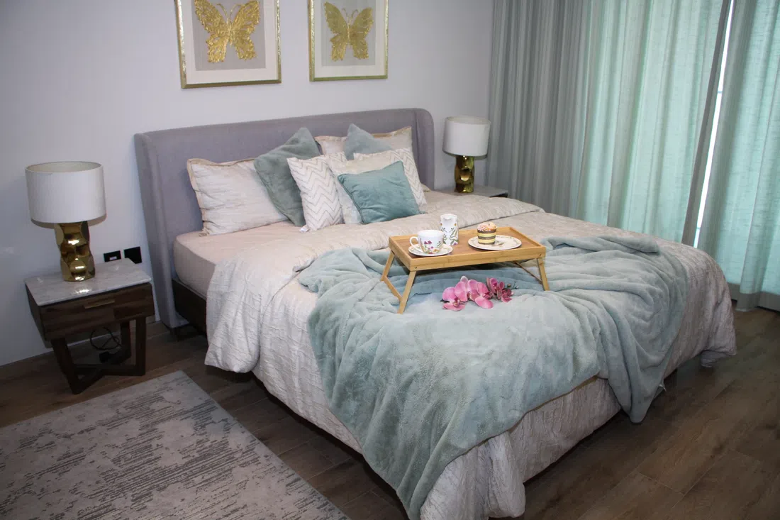 ROKANE G25 in JVC: smart-home features — image 11