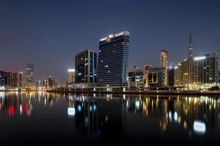 The Pad في الخليج التجاري: حدائق منسّقة — صورة 3