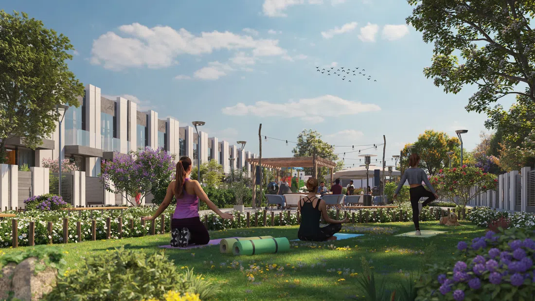 Reportage Village in Wadi Al Safa 7: landscaped gardens — image 8