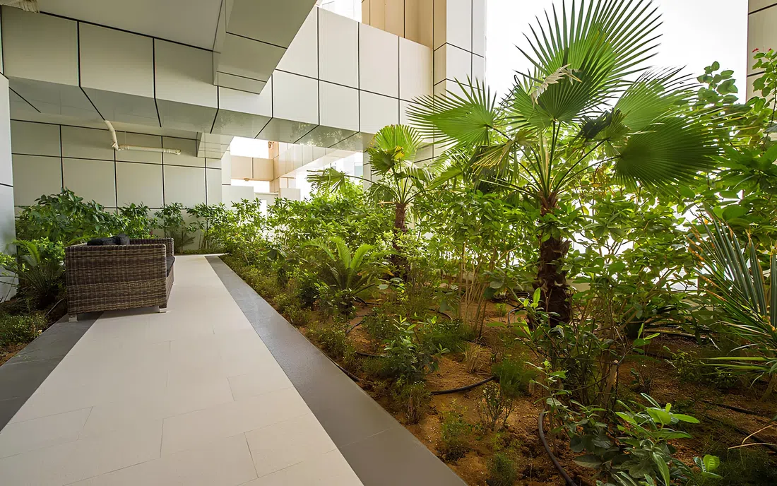Botanica Tower في جميرا بيتش ريزيدنس: حدائق منسّقة — صورة 11