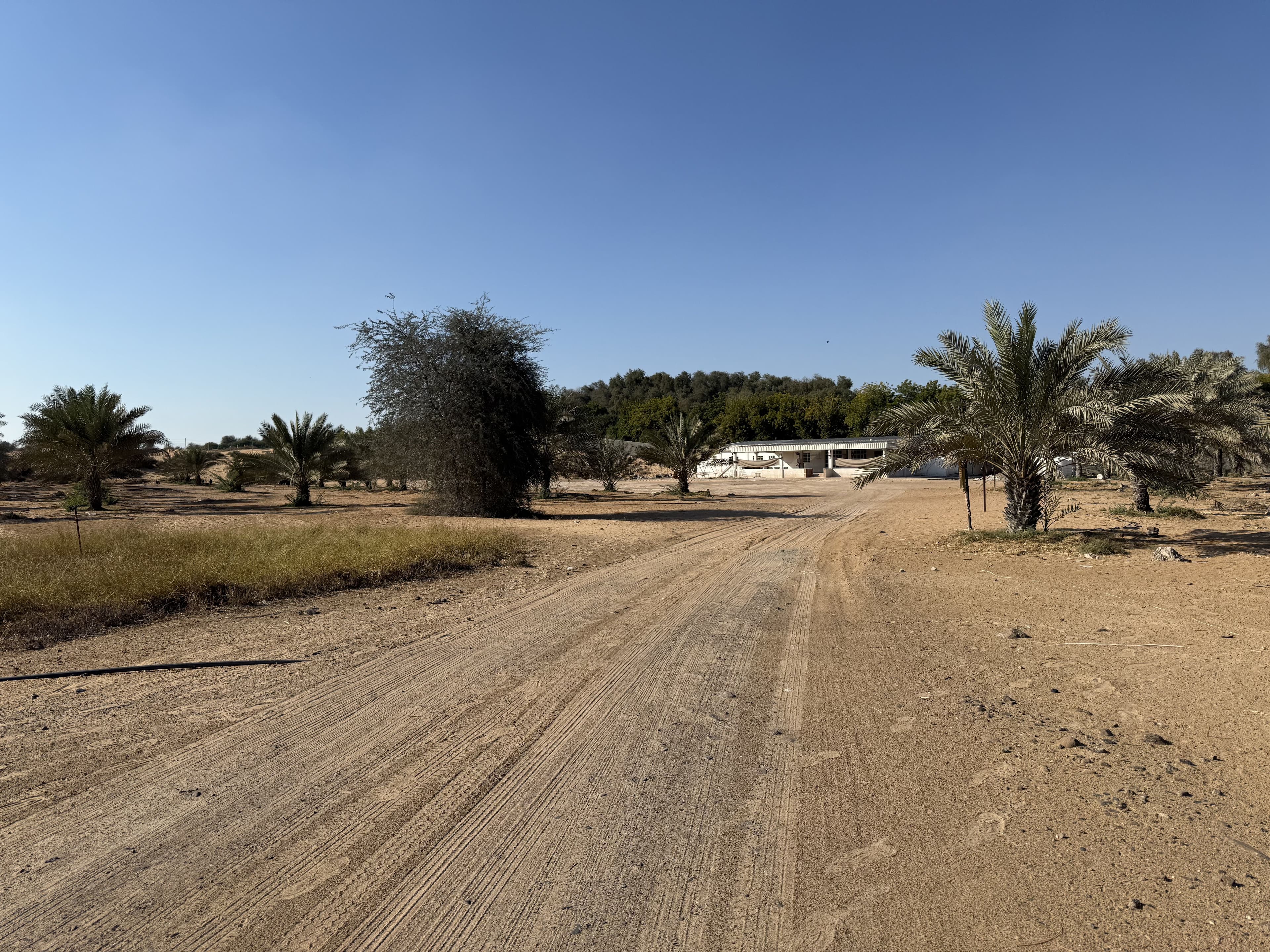 EMIRATES PROPERTIES "Al Zahya H"